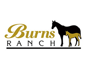 Burns Ranch